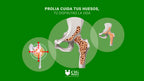 Prolia 60 mg/ml (Denosumab) – Solución Inyectable